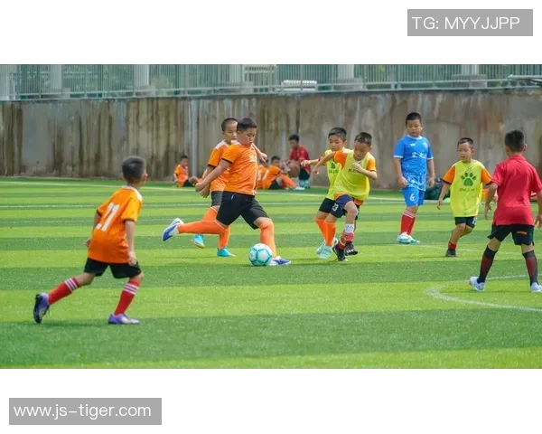 足球球的魅力与激情探讨以及如何提升青少年足球水平的有效策略